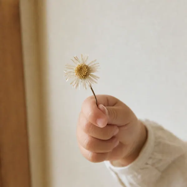 小さな花を持つ手